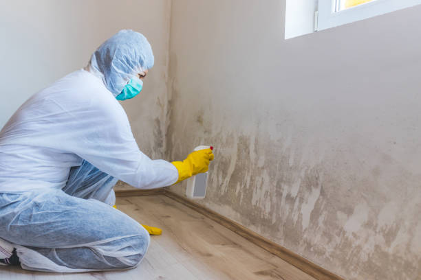 Hvac And Air Duct Mold Remediation inspection of HVAC system in Linthicum Heights