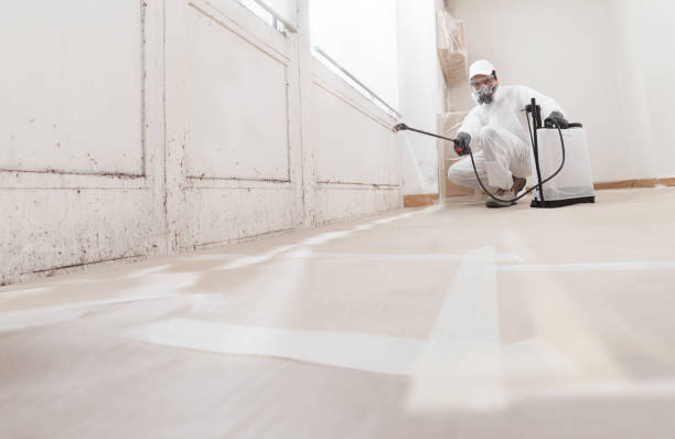Black mold remediation team in Linthicum Heights
